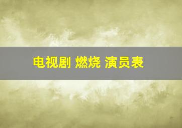 电视剧 燃烧 演员表